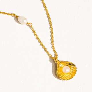 Daphne Shell Necklace