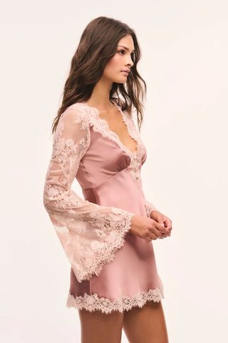 Dawselle Satin And Lace Mini Dress