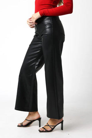 Jordan Vegan Leather Pants