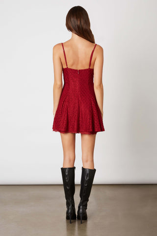 Hot Toddy Lace Mini Dress