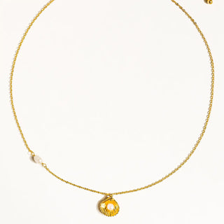 Daphne Shell Necklace