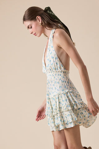 Jardin Ruffle Mini Dress