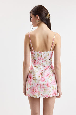 Blushing Rose Mini Dress