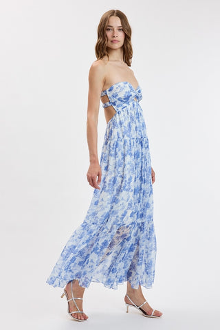 Arianna Strapless Maxi Dress