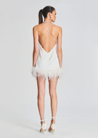 Susana Feather Dress