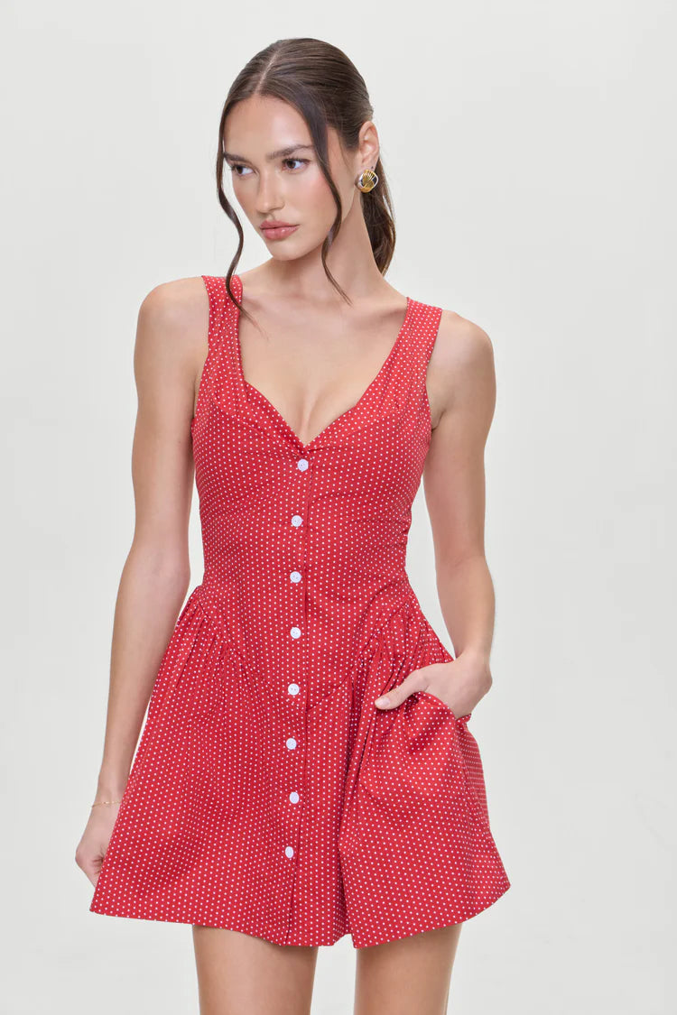 ladybug gingham mini dress red Charlotte Poplin Mini Dress in Ladybug Gingham by Frankies Bikinies Cattivo