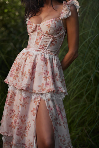 V. Chapman Jolie Dress in Cedar Rose Print