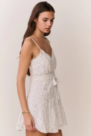 Sibelle Mini Dress in Sunbleached Meadow