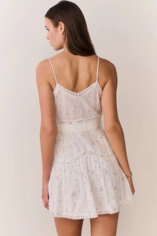 Sibelle Mini Dress in Sunbleached Meadow