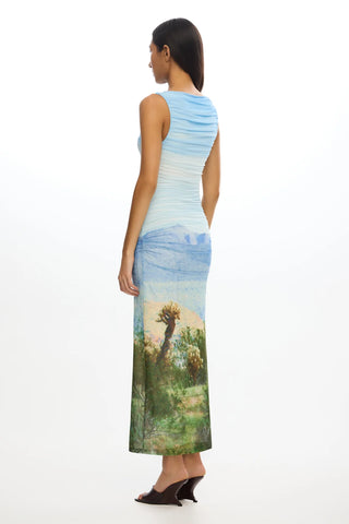 Saria Midi Dress in Arizona Print