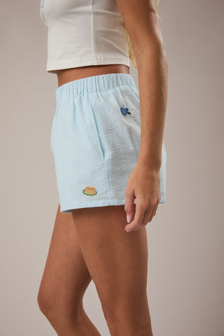 Sunday Brunch Embroidered Shorts
