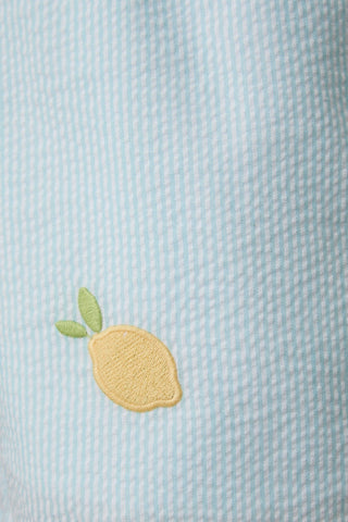 Sunday Brunch Embroidered Shorts