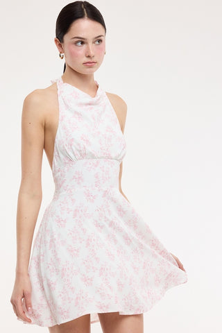 Meadow Picnic Mini Dress