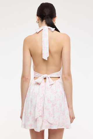 Meadow Picnic Mini Dress