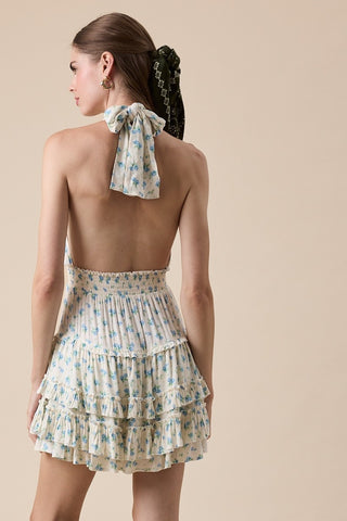 Jardin Ruffle Mini Dress