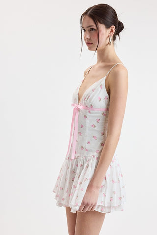 Rosy Ribbon Mini Dress
