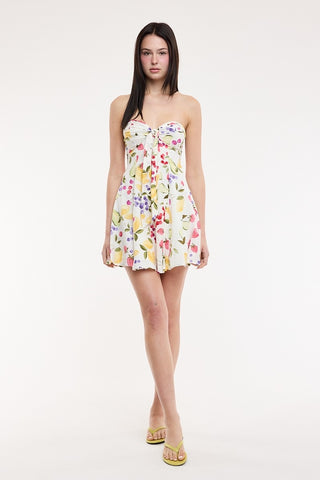 Positano Picnic Mini Dress