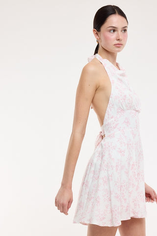 Meadow Picnic Mini Dress
