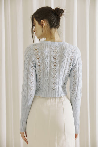 Light Cable Knit Cardigan in Baby Blue