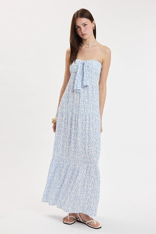 Juniper Strapless Maxi Dress