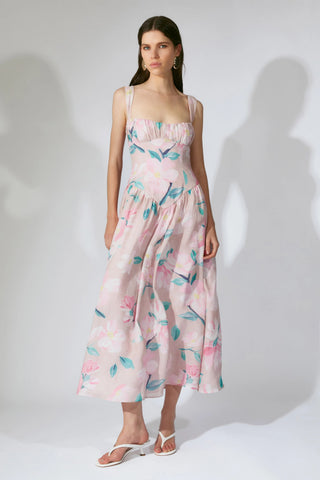 Cartia Printed Midi Dress In Pink Floral