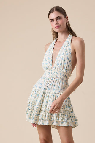 Jardin Ruffle Mini Dress