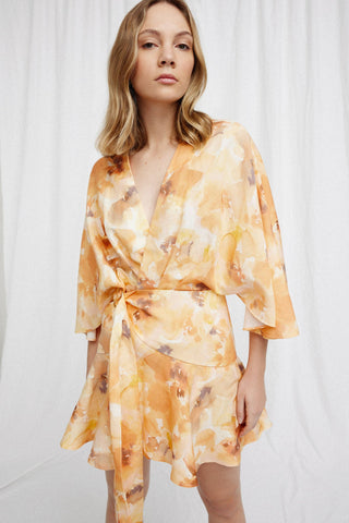 Significant Other Olivia Dress in Painted Poppy